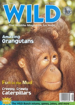 2000 May Wild