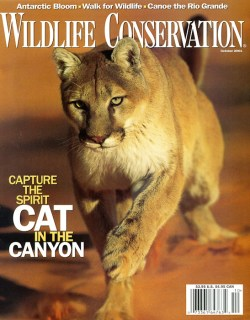 2001 October Wildlife Conservation