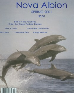 2001 Spring Nove Albion