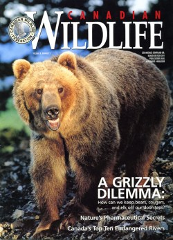 2003 Canadian Wildlife Federation
