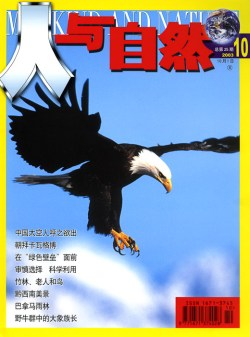 2003 Mankind and Nature