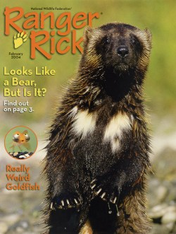2004 February Ranger Rick