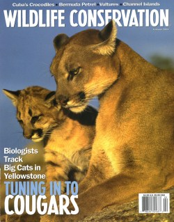 2004 February Wildlife Conservation