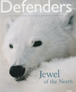 2004 Spring Defenders of Wildlife