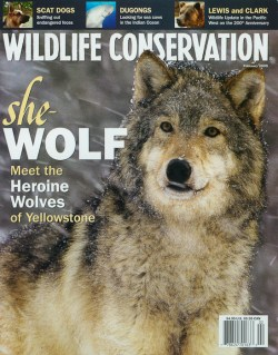 2005 February Wildlife Conservation