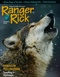 2008 November Ranger Rick