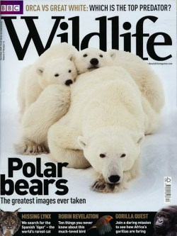 2009 December BBC Wildlife