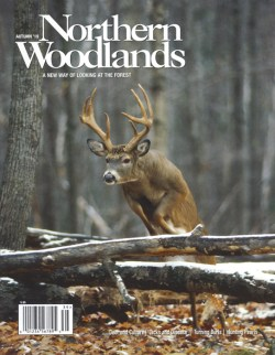 2019 Autumn Northern Woodlands