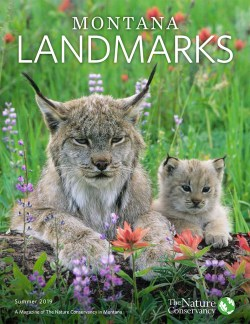 2019 Summer The Nature Conservancy