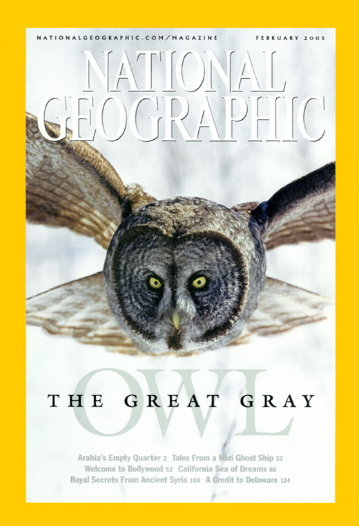 National Geographic great gray owl cover
