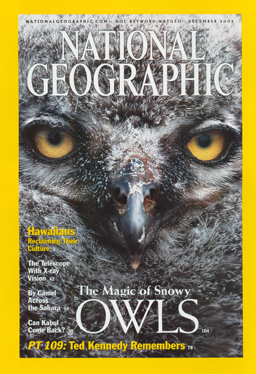 National Geographic snowy owl cover