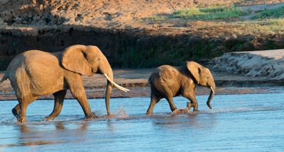 Mike Cromwell, 2012 Kenya Photography Tour, photograph 1