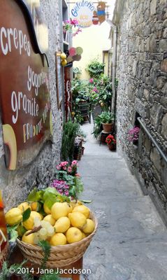 Jane Jacobson, 2014 Italy Photography Tour, photograph 4