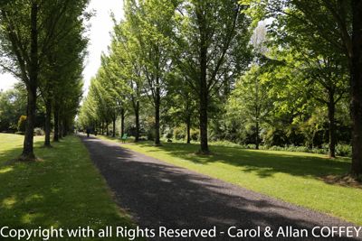 Allan Coffey, 2013 Ireland Photography Tour I, photograph 1