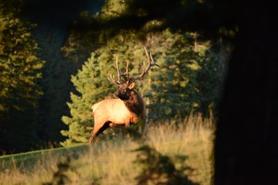 Michelle M. Duggan, 2014 Canadian Rockies Fall Photography Tour, photograph 3