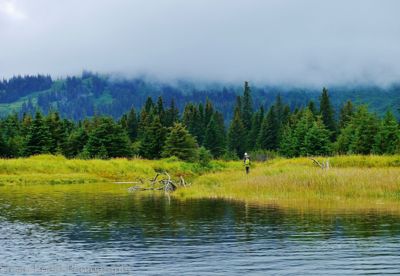 Susan L. Roehl, 2014 Alaska Brown Bear Photography Tour, photograph 2