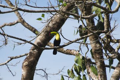 Henry Cortina, 2014 Costa Rica Photography Tour, photograph 3