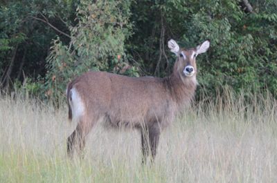Michelle M. Duggan, 2012 Kenya Photography Tour, photograph 2