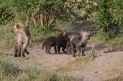 Michelle M. Duggan, 2012 Kenya Photography Tour, photograph 3