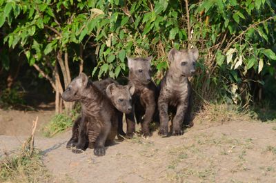 Michelle M. Duggan, 2012 Kenya Photography Tour, photograph 4