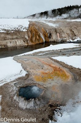 Dennis Goulet, 2011 Winter in Yellowstone Photography Tour I, photograph 4