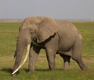Jim Edwards, 2010 Kenya Photography Tour, photograph 2