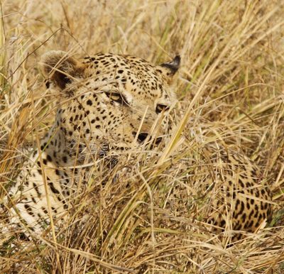 Jim Edwards, 2013 South Africa Photography Tour, photograph 1
