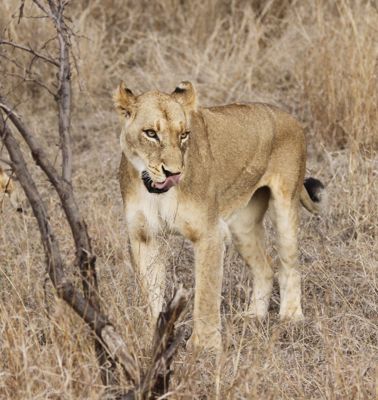 Jim Edwards, 2013 South Africa Photography Tour, photograph 2