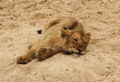 Jim Edwards, 2013 South Africa Photography Tour, photograph 4