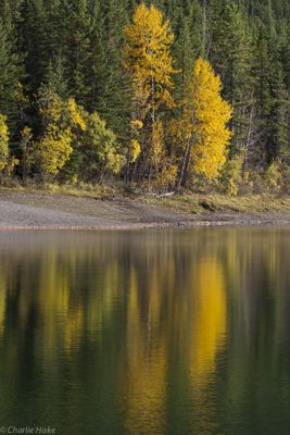Charlie Hoke, 2014 Canadian Rockies Fall Photography Tour, photograph 3