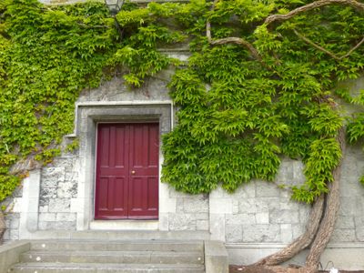 Jeanne Sturges, 2013 Ireland Photography Tour II, photograph 2
