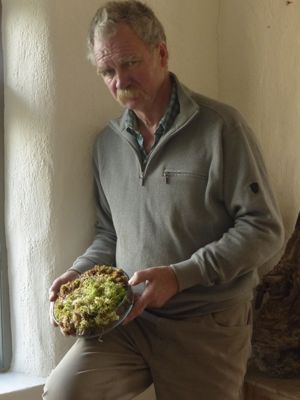 Jeanne Sturges, 2013 Ireland Photography Tour II, photograph 3