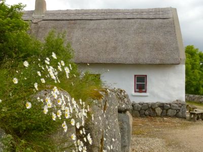 Jeanne Sturges, 2013 Ireland Photography Tour II, photograph 4
