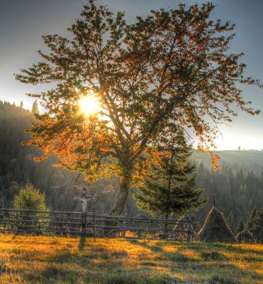 John Keim, 2014 Romania Autumn Photography Tour I, photograph 2