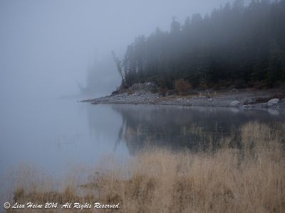 Lisa Heine, 2014 Canadian Rockies Fall Photography Tour, photograph 1