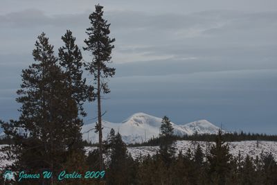 James Carlin, 2009 Winter in Yellowstone Photography Tour II, photograph 1