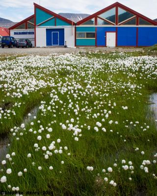 Steve Henry, 2011 Svalbard Polar Expedition I, photograph 1