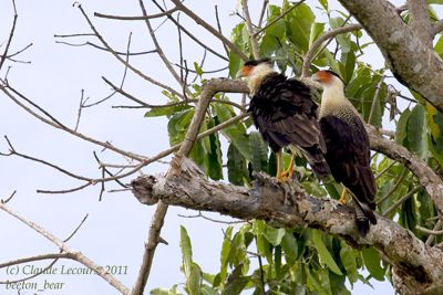 Claude R. Lecours, 2011 Costa Rica Photography Tour II, photograph 3