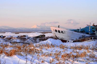 Yokona Lynn Owsley, 2014 Japan Winter Wildlife Photography Tour II, photograph 1