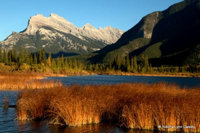 Yokona Lynn Owsley, 2014 Canadian Rockies Fall Photography Tour, photograph 1