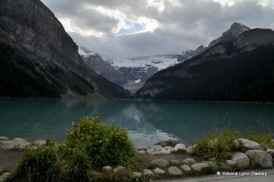 Yokona Lynn Owsley, 2014 Canadian Rockies Fall Photography Tour, photograph 4