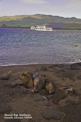 Claude R. Lecours, 2009 Galapagos Photography Tour by Private Luxury Yacht, photograph 2