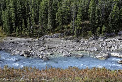 Cristina Valente Marques, 2014 Canadian Rockies Fall Photography Tour, photograph 3