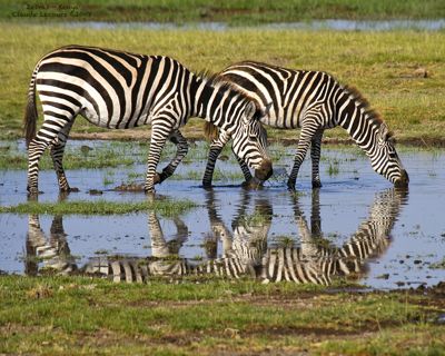 Claude R. Lecours, 2008 Kenya Photography Tour, photograph 2