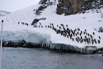 Charlie Tooley, Seabourn Quest 24-Day Ultimate Holiday Antarctica, Patagonia and South Georgia Island, photograph 1