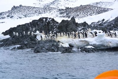 Charlie Tooley, Seabourn Quest 24-Day Ultimate Holiday Antarctica, Patagonia and South Georgia Island, photograph 2