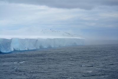 Charlie Tooley, Seabourn Quest 24-Day Ultimate Holiday Antarctica, Patagonia and South Georgia Island, photograph 4