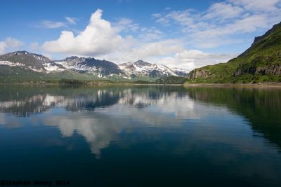 Steve Henry, 2009 Alaska Brown Bear Photography Trip I, photograph 1