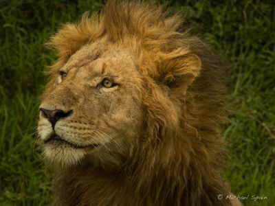 Michael Spain, 2015 Kenya Photography Tour II, photograph 1