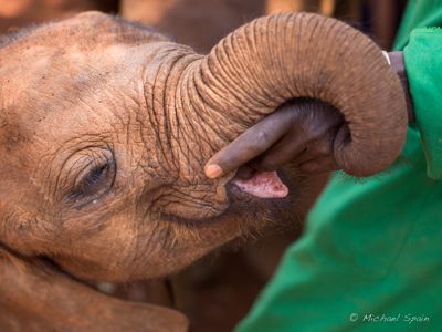 Michael Spain, 2015 Kenya Photography Tour II, photograph 2